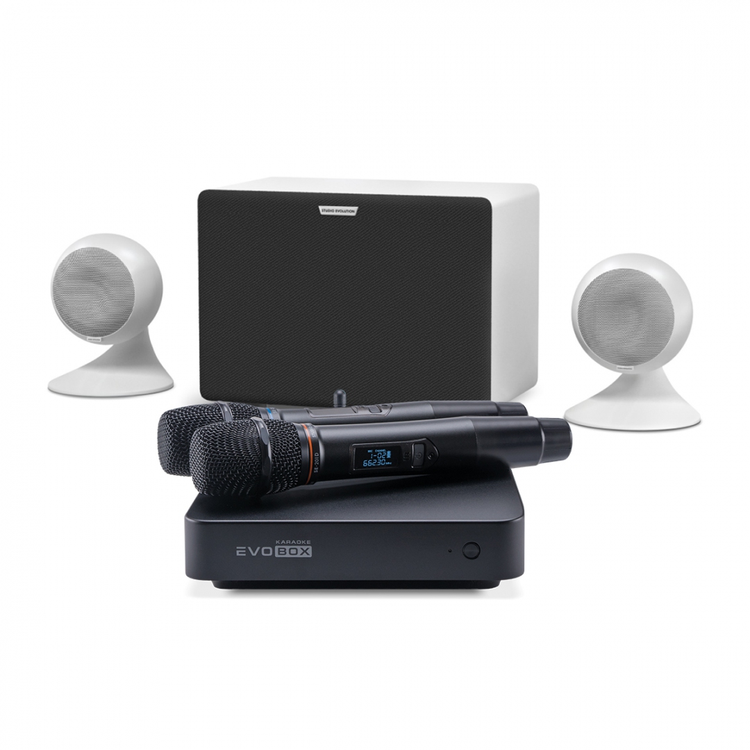караоке-комплект EVOBOX Classic + EvoSound Sphere 2.1 в Миассе