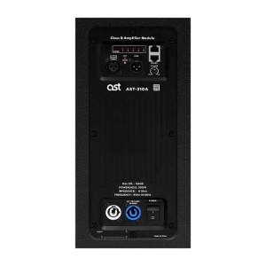Активная акустическая система AST-310A в Миассе