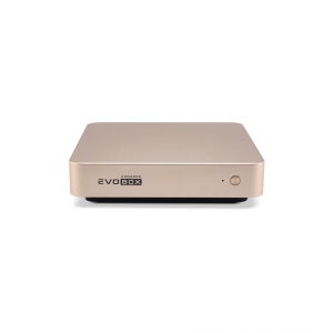 EVOBOX с микрофонами в Миассе